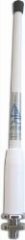 Am/Fm 20302 Anten 25cm
