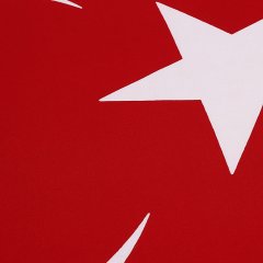 TÜRK BAYRAĞI  50X75
