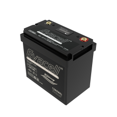 Evacell 12V 100Ah LiFePO4 Batarya